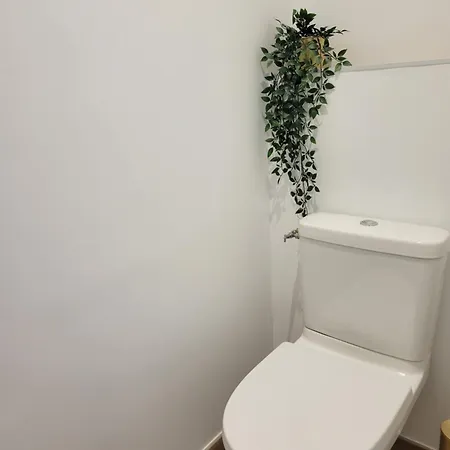 Cocon * Руайян